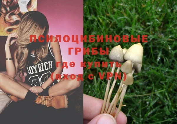 кокаин перу Богданович