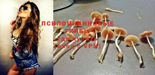 mix Богородск