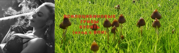 спайс Богородицк