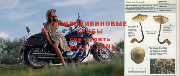 кокаин перу Богданович