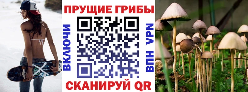 Купить закладки  Гусиноозёрск  Псилоцибиновые грибы мицелий 